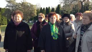 Vukovár - Főnix Nagyasszonyok koszorúznak